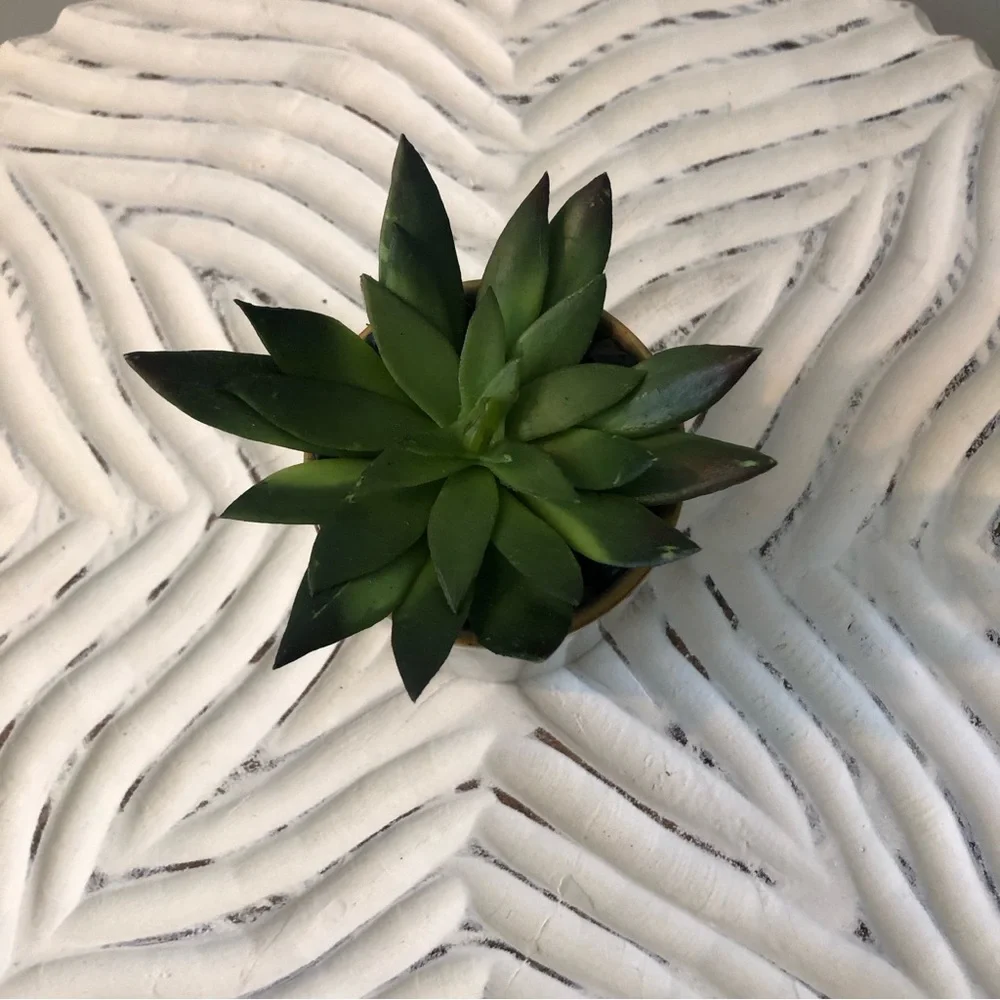 Mini Potted Faux Succulent - Small Artificial Succulent in Ceramic Pot